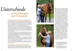 Osteopathie für Pferde