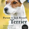 Parson und Jack Russell Terrier