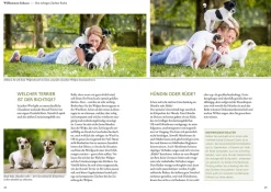 Parson und Jack Russell Terrier