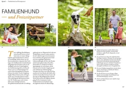 Parson und Jack Russell Terrier