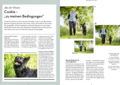 Persönlichkeitsanalyse für Hunde