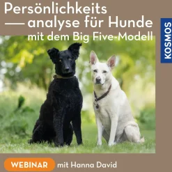 Persönlichkeitsanalyse für Hunde – mit dem Big Five-Modell