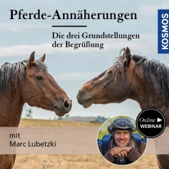 Pferde-Annäherungen: Die drei Grundstellungen der Begrüßung