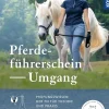 Pferdeführerschein Umgang
