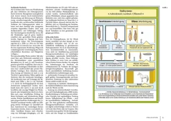 Pferdehaltung und -fütterung