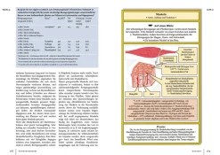 Pferdehaltung und -fütterung