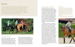 Pferde verstehen, erziehen und reiten