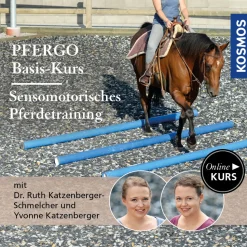 PFERGO - Basiskurs