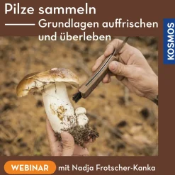 Pilze sammeln – Grundlagen auffrischen und überleben