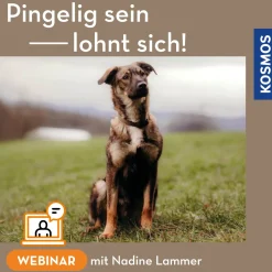 Pingelig sein lohnt sich!