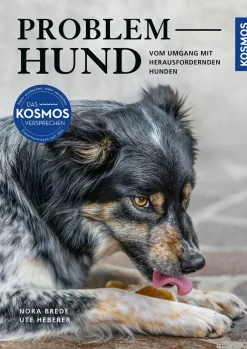 Problem Hund