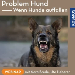 Problem Hund – Wenn Hunde auffallen