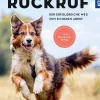 Raketenstart-Rückruf