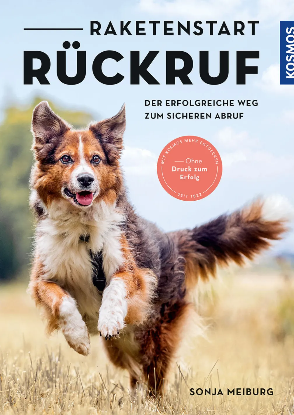 Raketenstart-Rückruf