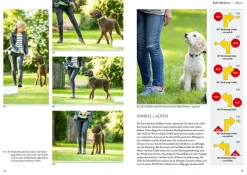 Rally Obedience