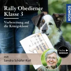 Rally Obedience Klasse 3 - Vorbereitung auf die Königsklasse