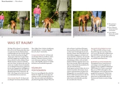 Raumdenken® in der Hundeerziehung