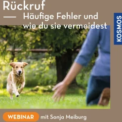 Rückruf – Häufige Fehler und wie du sie vermeidest