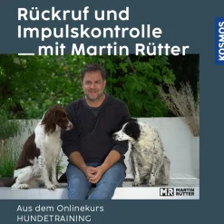 Rückruf und Impulskontrolle mit Martin Rütter