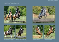 Reiten im Gelände