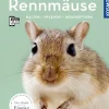 Rennmäuse