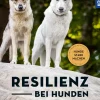 Resilienz bei Hunden
