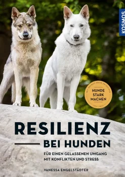 Resilienz bei Hunden