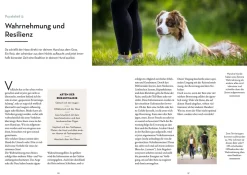 Resilienz bei Hunden