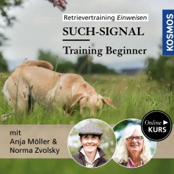 Retrievertraining Einweisen – Training Beginner Such-Signal
