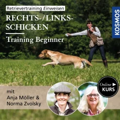 Retrievertraining Einweisen – Training Beginner Rechts-/Links-Schicken