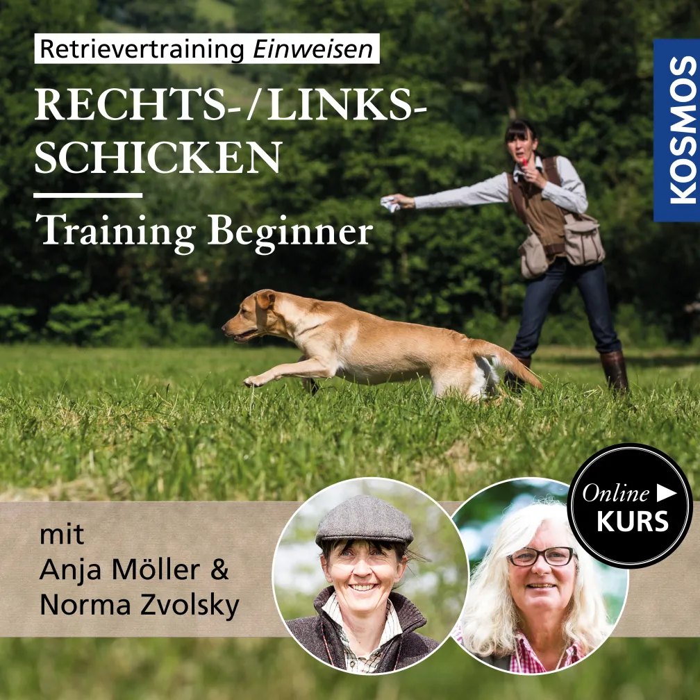 Retrievertraining Einweisen – Training Beginner Rechts-/Links-Schicken