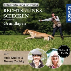 Retrievertraining Einweisen – Grundlagen Rechts-/Links-Schicken