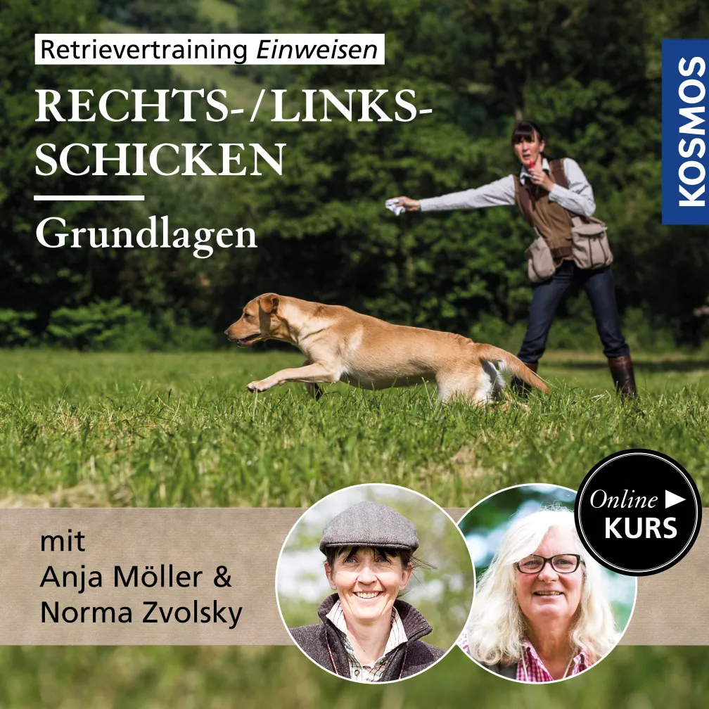 Retrievertraining Einweisen – Grundlagen Rechts-/Links-Schicken