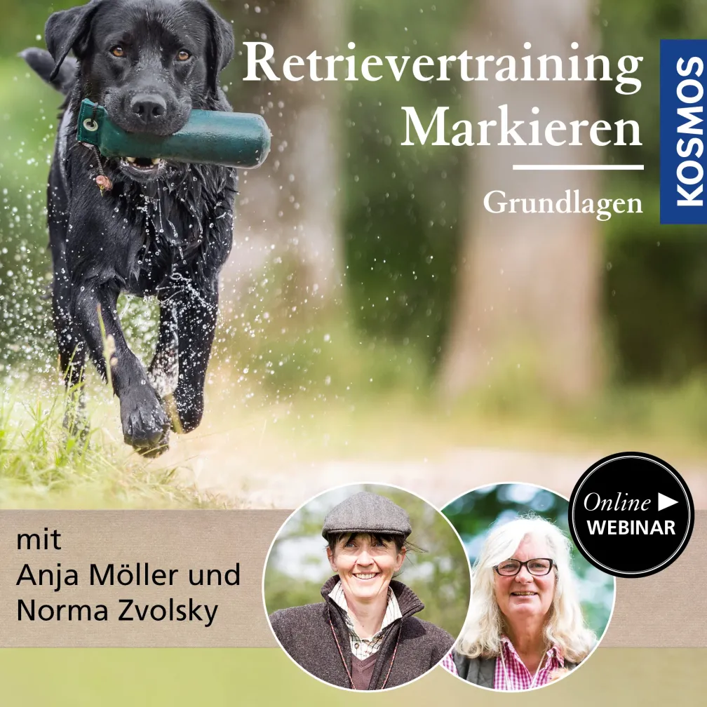 Retrievertraining Markieren – Grundlagen