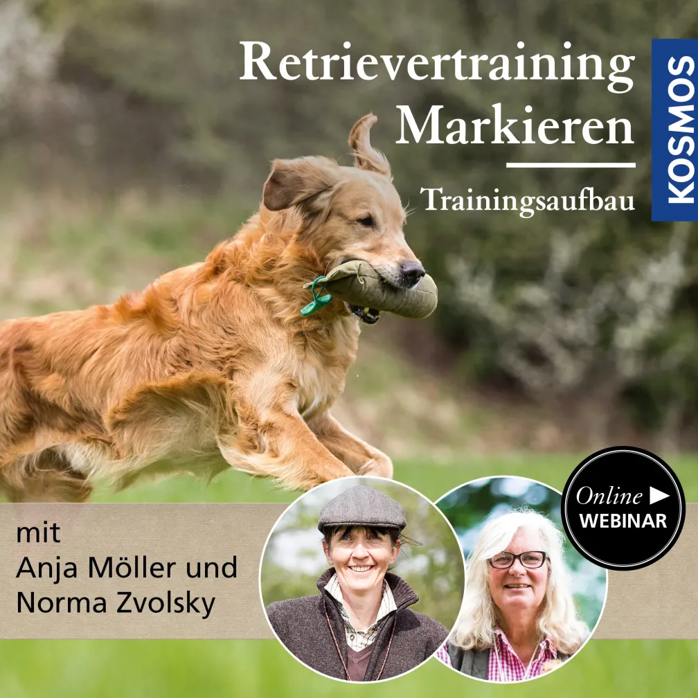 Retrievertraining Markieren – Trainingsaufbau