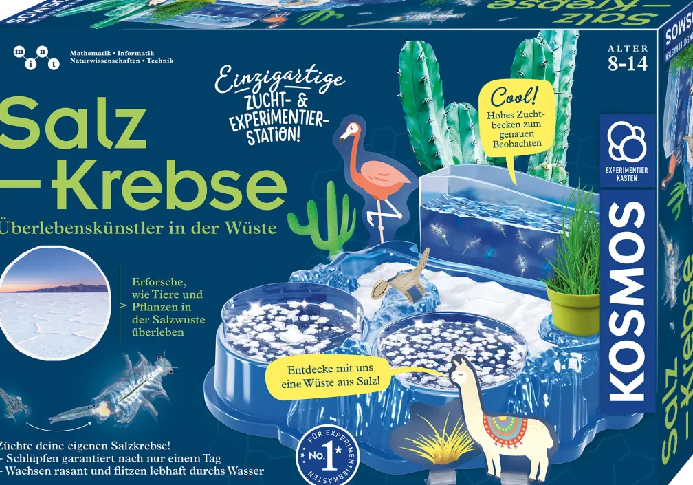 Salzkrebse