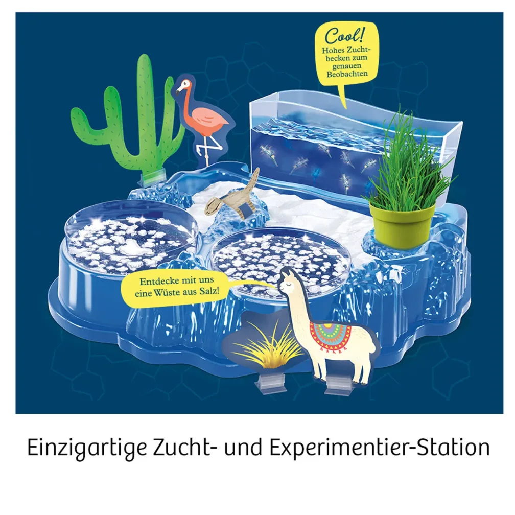 Salzkrebse