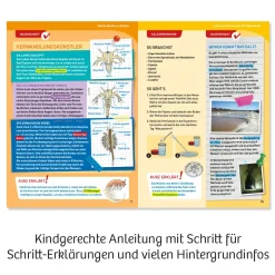 Salzkrebse