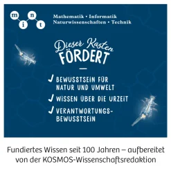 Salzkrebse