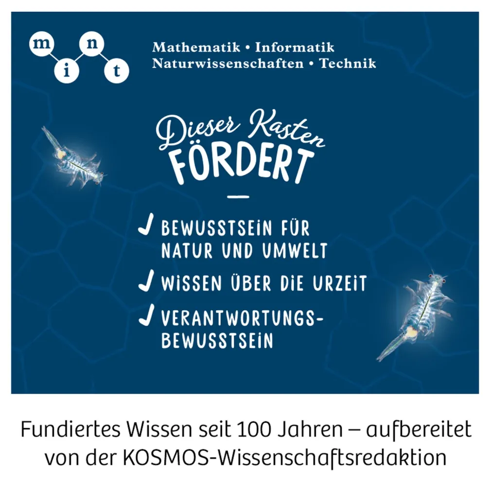 Salzkrebse