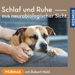 Schlaf und Ruhe aus neurobiologischer Sicht