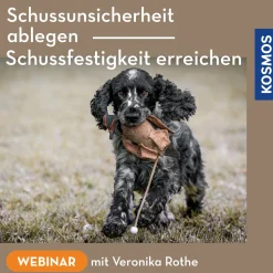 Schussunsicherheit ablegen, Schussfestigkeit erreichen