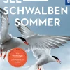 Seeschwalbensommer