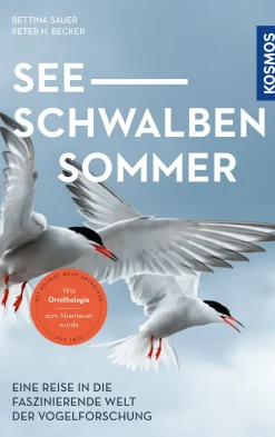 Seeschwalbensommer