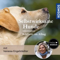 Selbstwirksame Hunde – Resilienz im Alltag