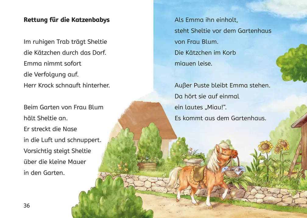 Sheltie, Bücherhelden 1. Klasse, Sheltie und die Katzenbabys