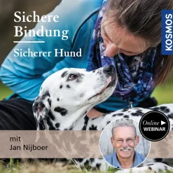 Sichere Bindung - sicherer Hund