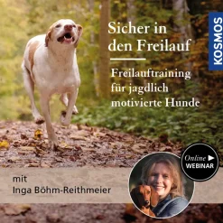 Sicher in den Freilauf – Freilauftraining für jagdlich motivierte Hunde