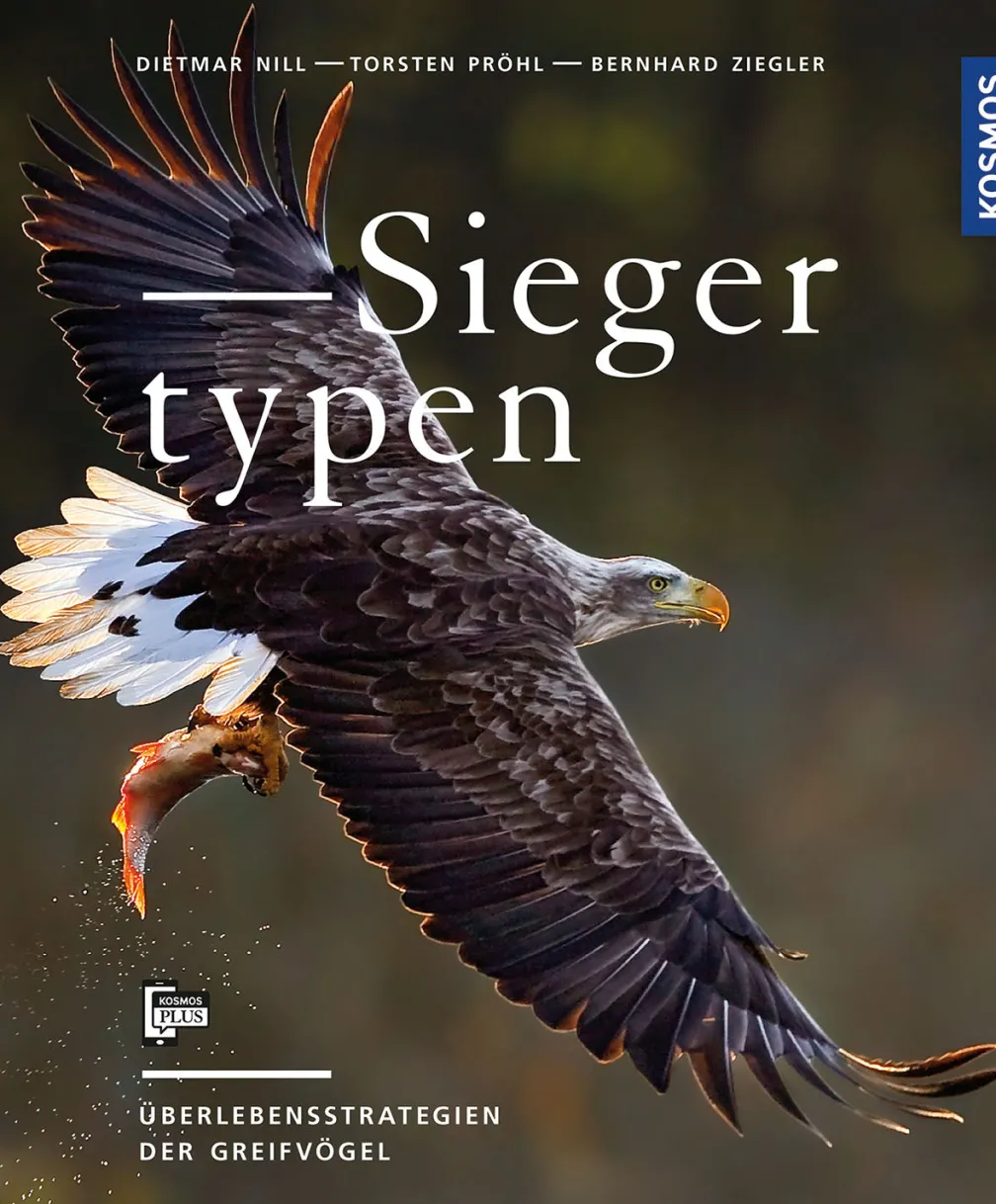 Siegertypen