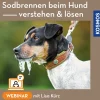 Sodbrennen beim Hund verstehen und nachhaltig lösen